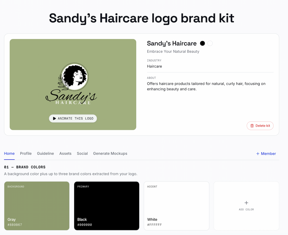 Example haircare brand kit showing a logo, brand colors, and profile details.