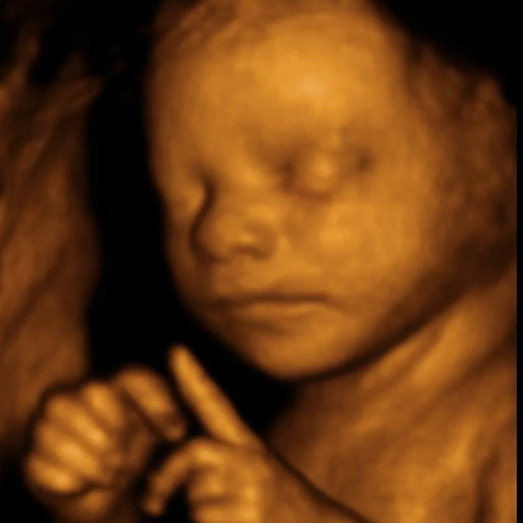 AI Baby Photo from Ultrasound – See Your Baby Before Birth input photo example
